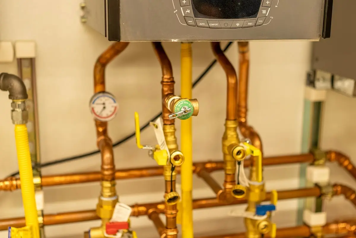 Licensed technician providing Sump Pump Repair for a homeowner in Webster